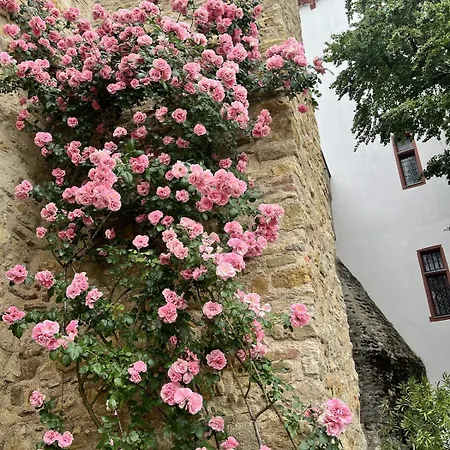 Appartement Comfortable In Eltville *